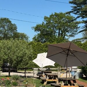 Meet your Posher, Amelia